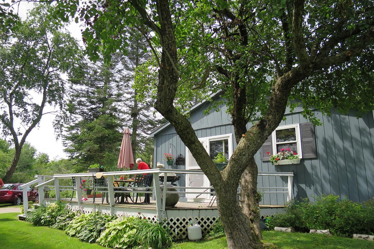 Firefly Bed & Breakfast Lincoln Exterior foto